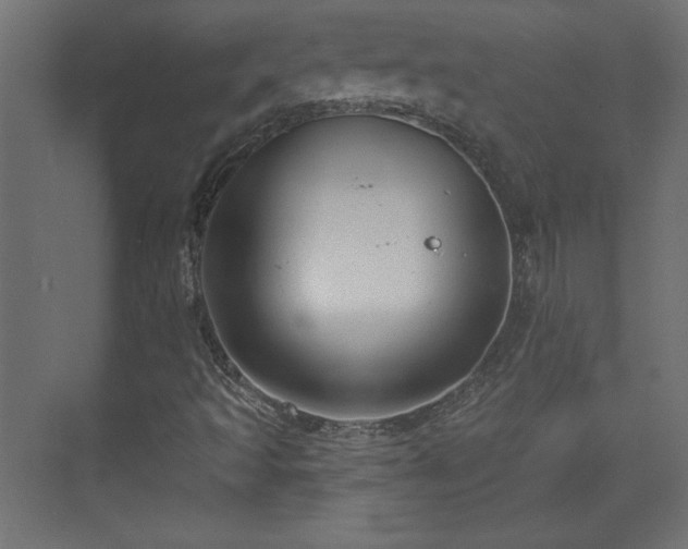 X0000073831493200608170927