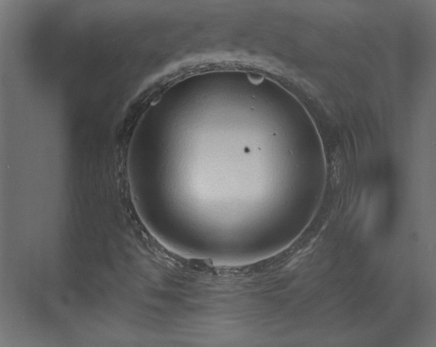 X0000073831494200608170927