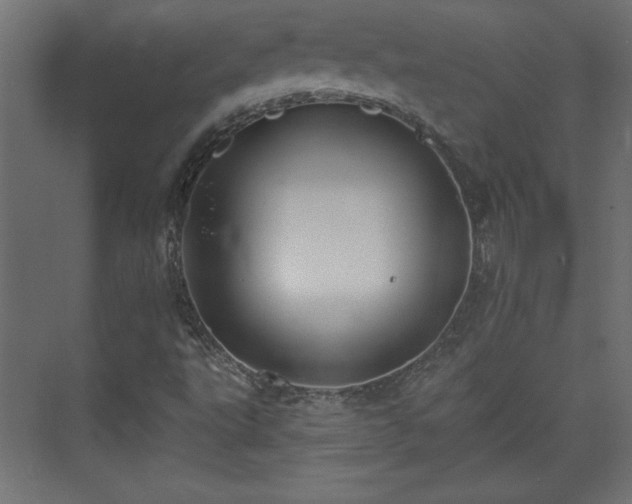 X0000073831495200608170927