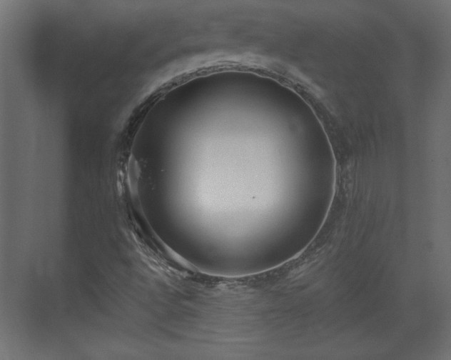 X0000073831496200608170927