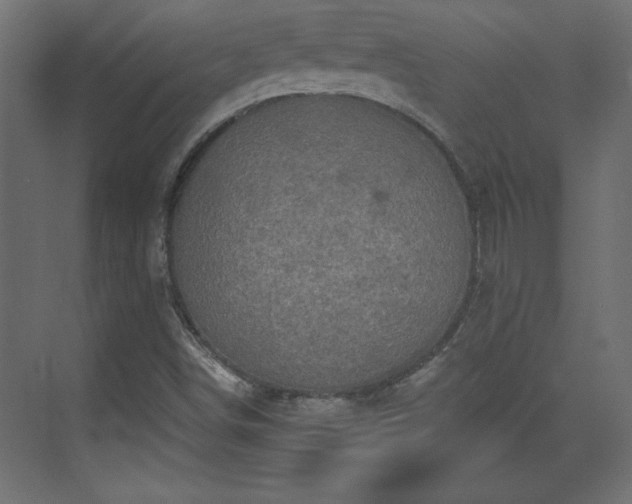 X0000073831498200608170927