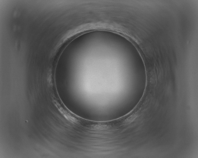 X0000073831499200608170927