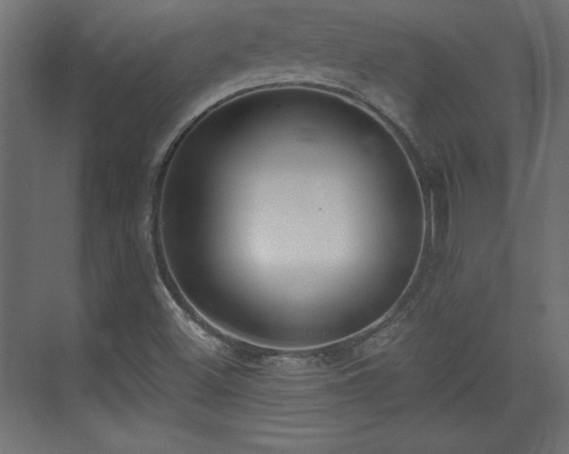 X0000073831500200608170927