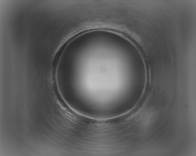 X0000073831501200608170927