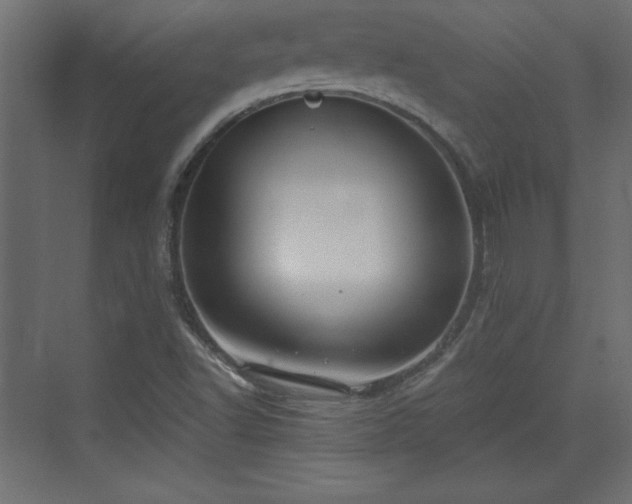 X0000073831502200608170927