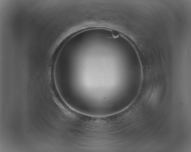 X0000073831503200608170927