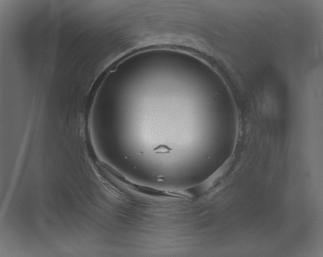 X0000073831505200608170927