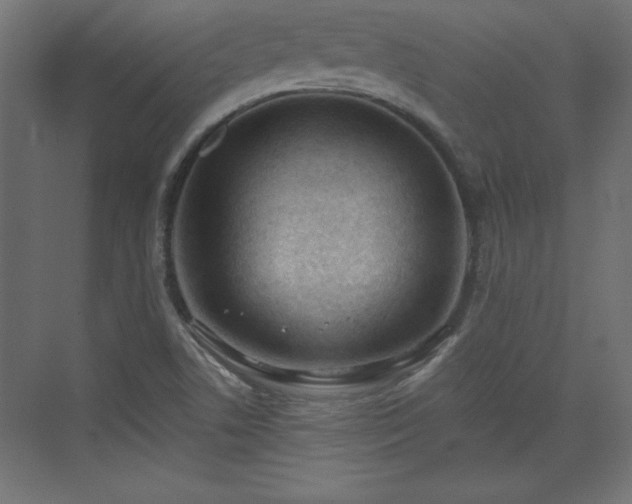 X0000073831506200608170927