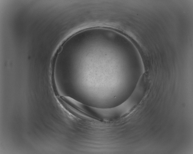 X0000073831508200608170927