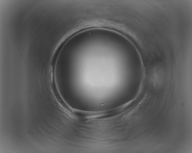 X0000073831509200608170927