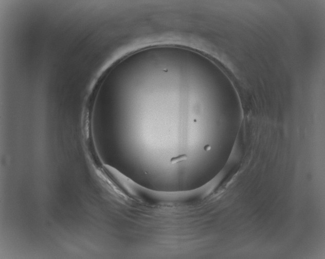 X0000073831510200608170927