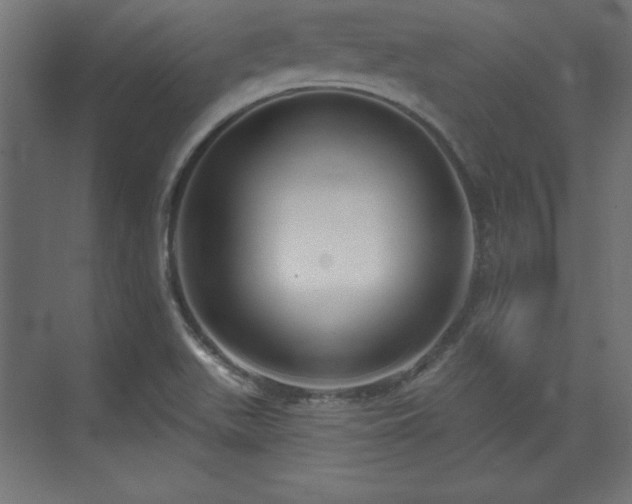 X0000073831511200608170927