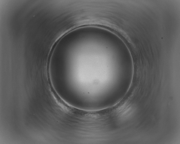 X0000073831513200608170927