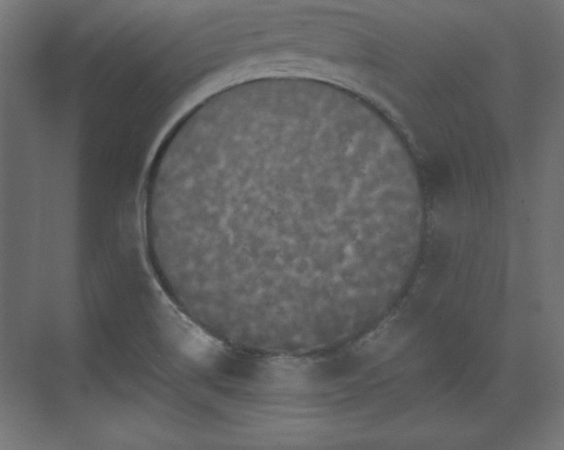 X0000073831514200608170928