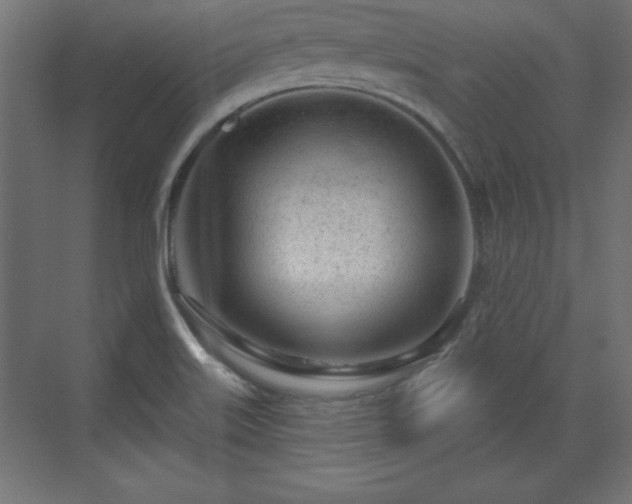 X0000073831515200608170928