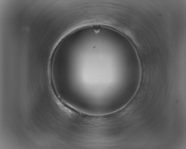 X0000073831516200608170928