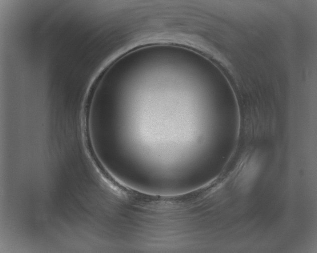 X0000073831517200608170928