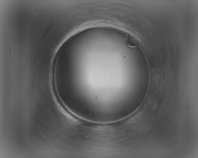 X0000073831518200608170928