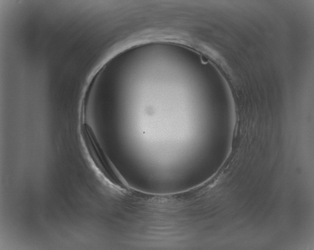 X0000073831520200608170928