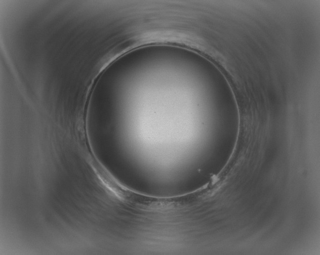 X0000073831521200608170928