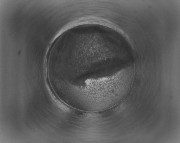 X0000073831522200608170928