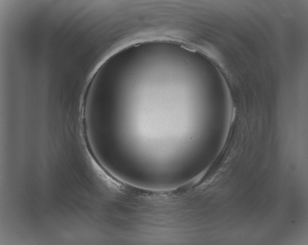 X0000073831524200608170928