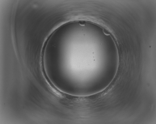 X0000073831525200608170928