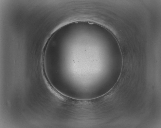 X0000073831526200608170928