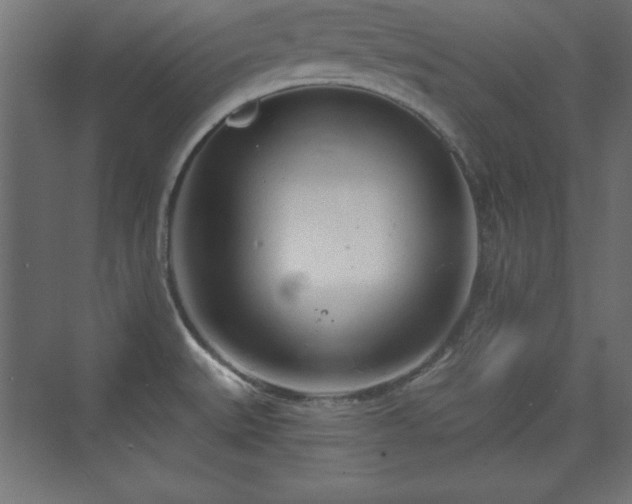 X0000073831527200608170928