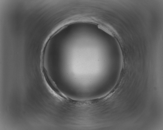 X0000073831528200608170928