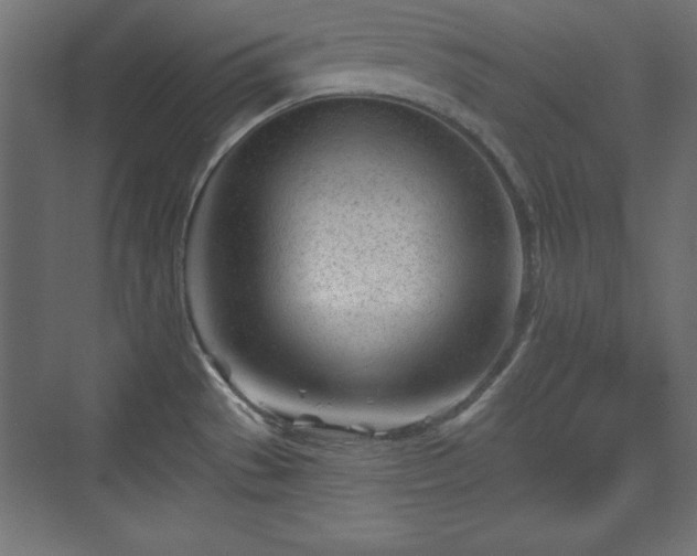 X0000073831529200608170928