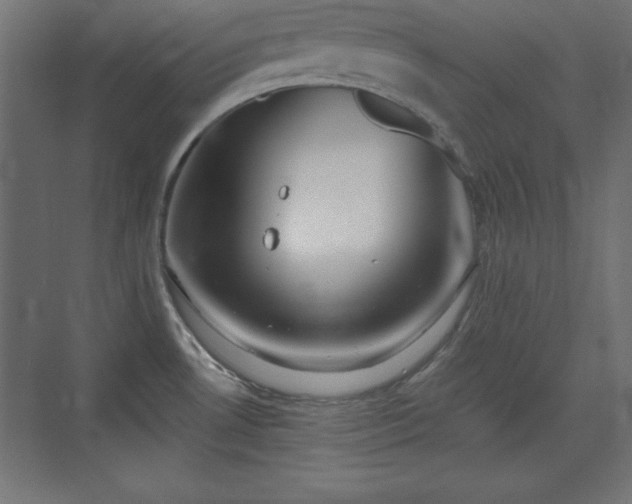 X0000073831530200608170928