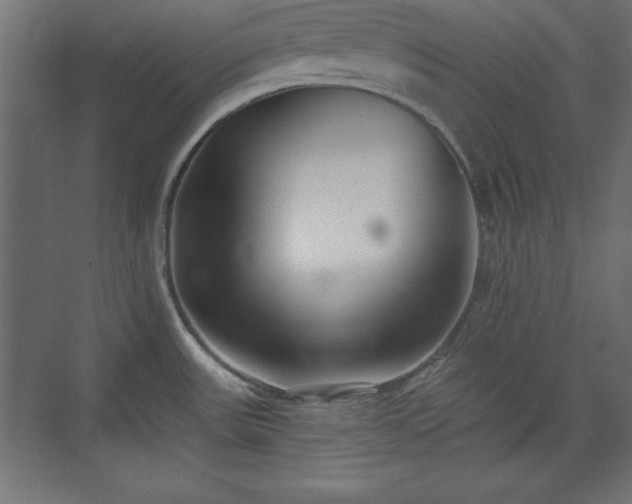 X0000073831531200608170928