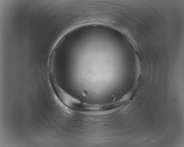 X0000073831532200608170928