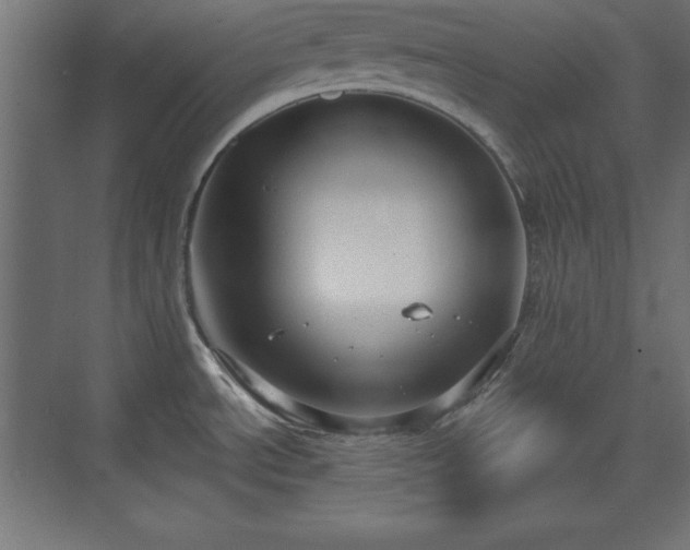 X0000073831534200608170928