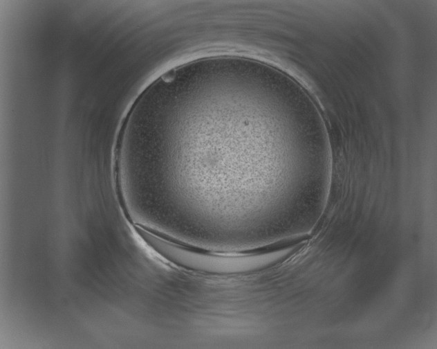 X0000073831535200608170928