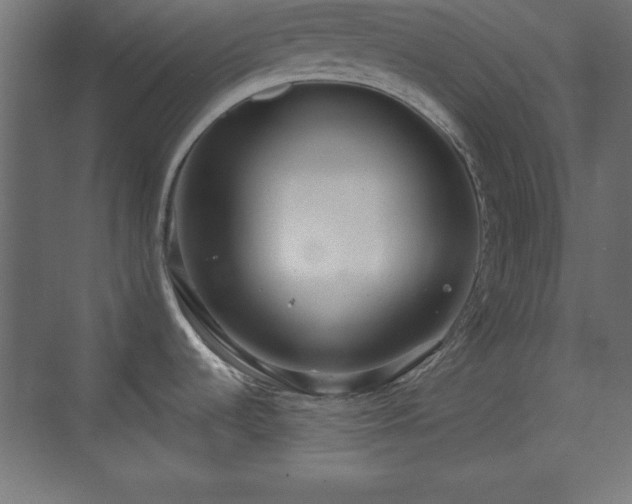 X0000073831536200608170928