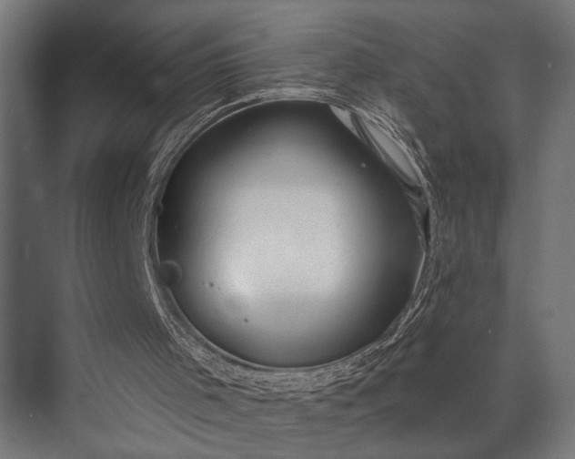 X0000073830001200608241003