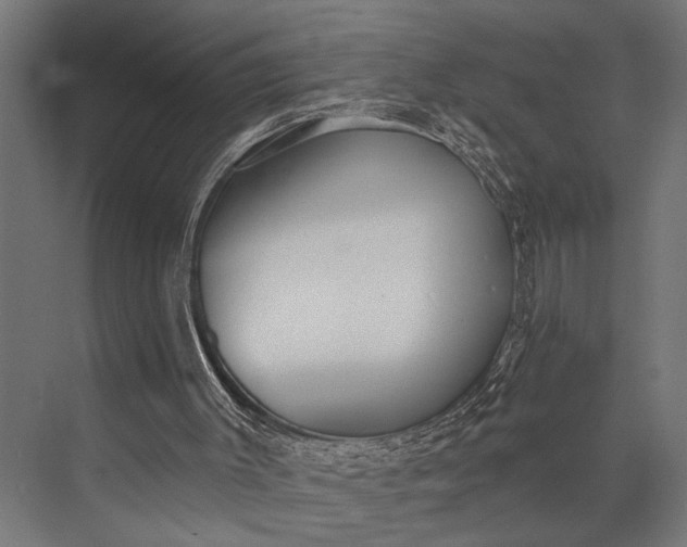 X0000073830003200608241003