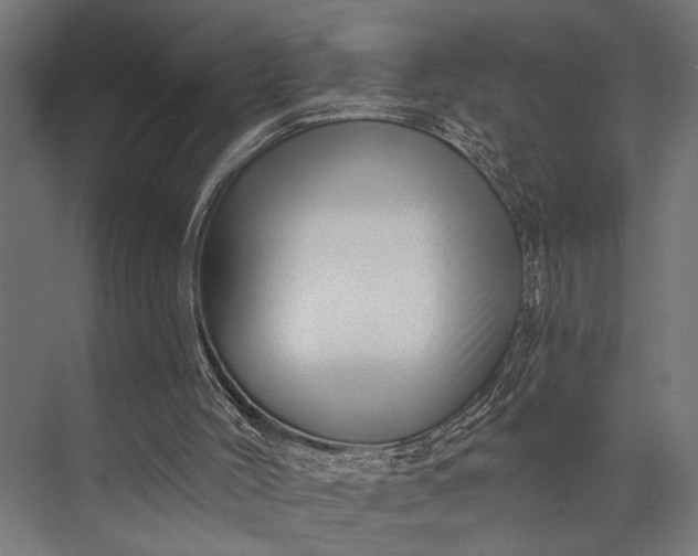 X0000073830004200608241003