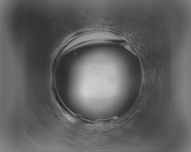 X0000073830005200608241003