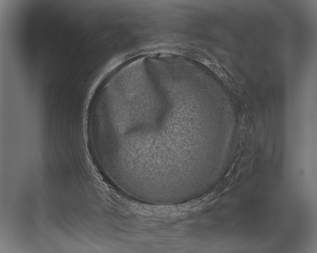 X0000073830006200608241003