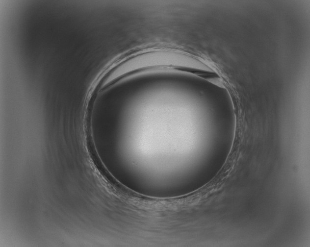 X0000073830007200608241003