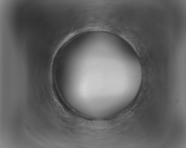 X0000073830008200608241003