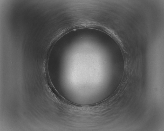 X0000073830010200608241003