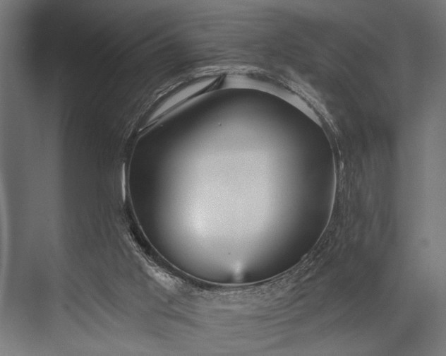 X0000073830013200608241003