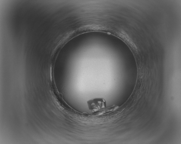 X0000073830014200608241002