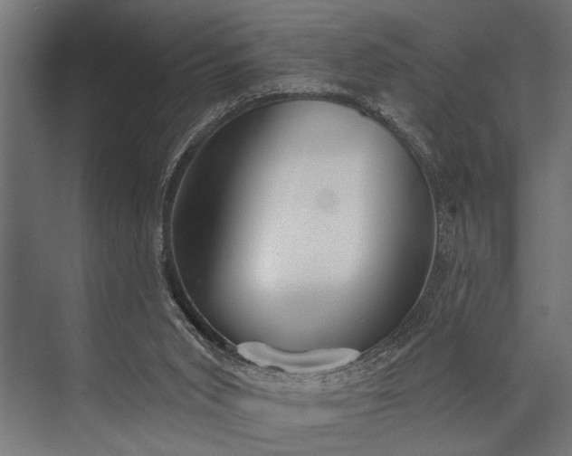 X0000073830015200608241002