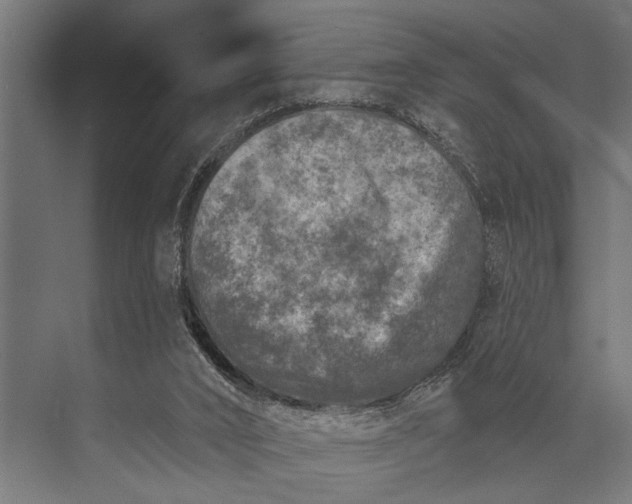 X0000073830016200608241002