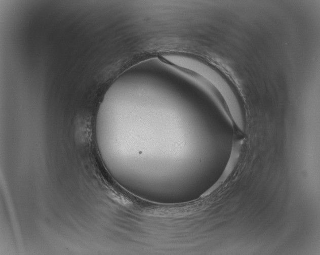 X0000073830017200608241002